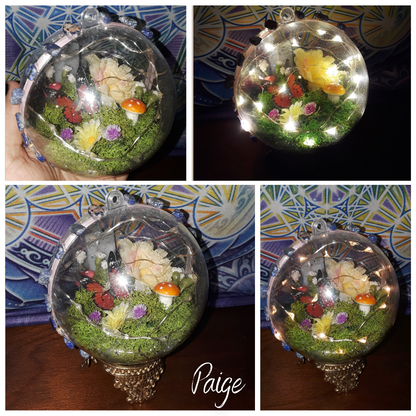 Butterfly Terrarium, Paige - The Call of the Craft
